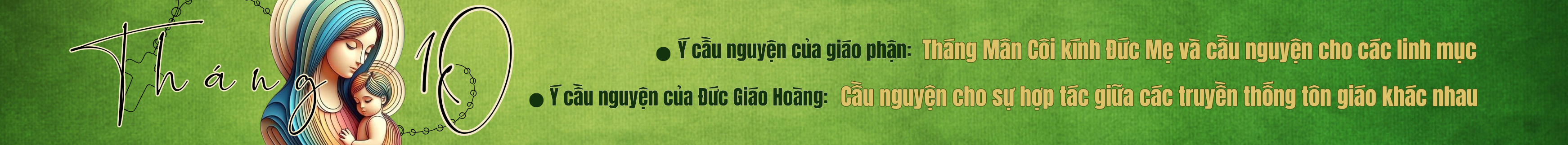 banner-0